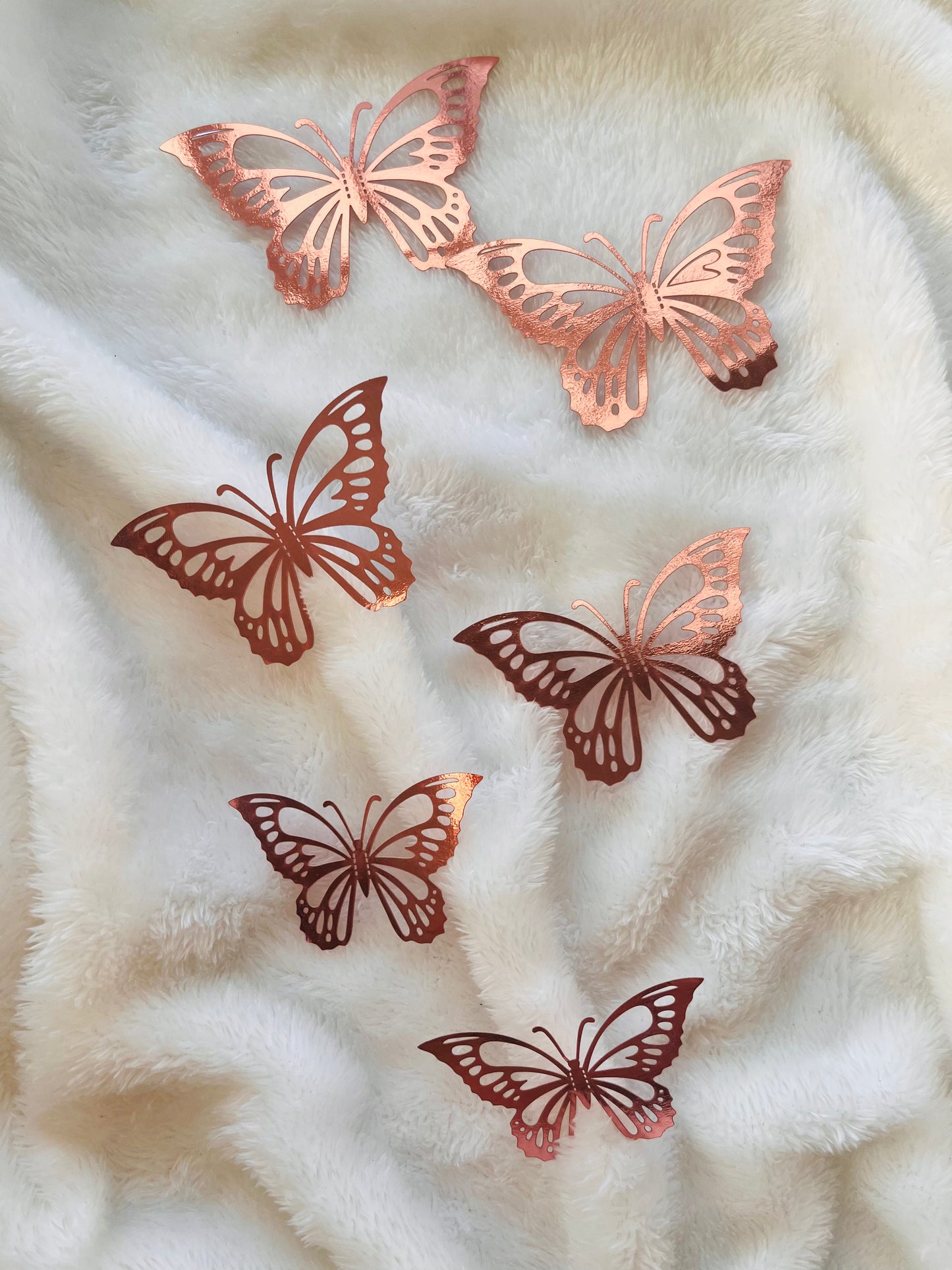 “Butterflies”