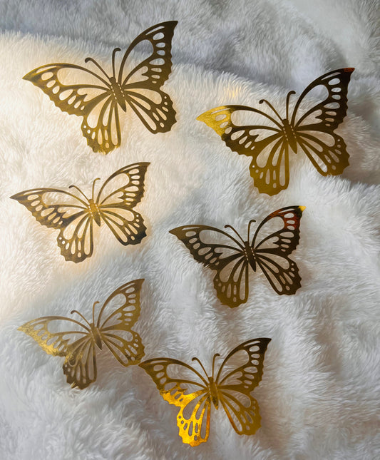 “Butterflies”