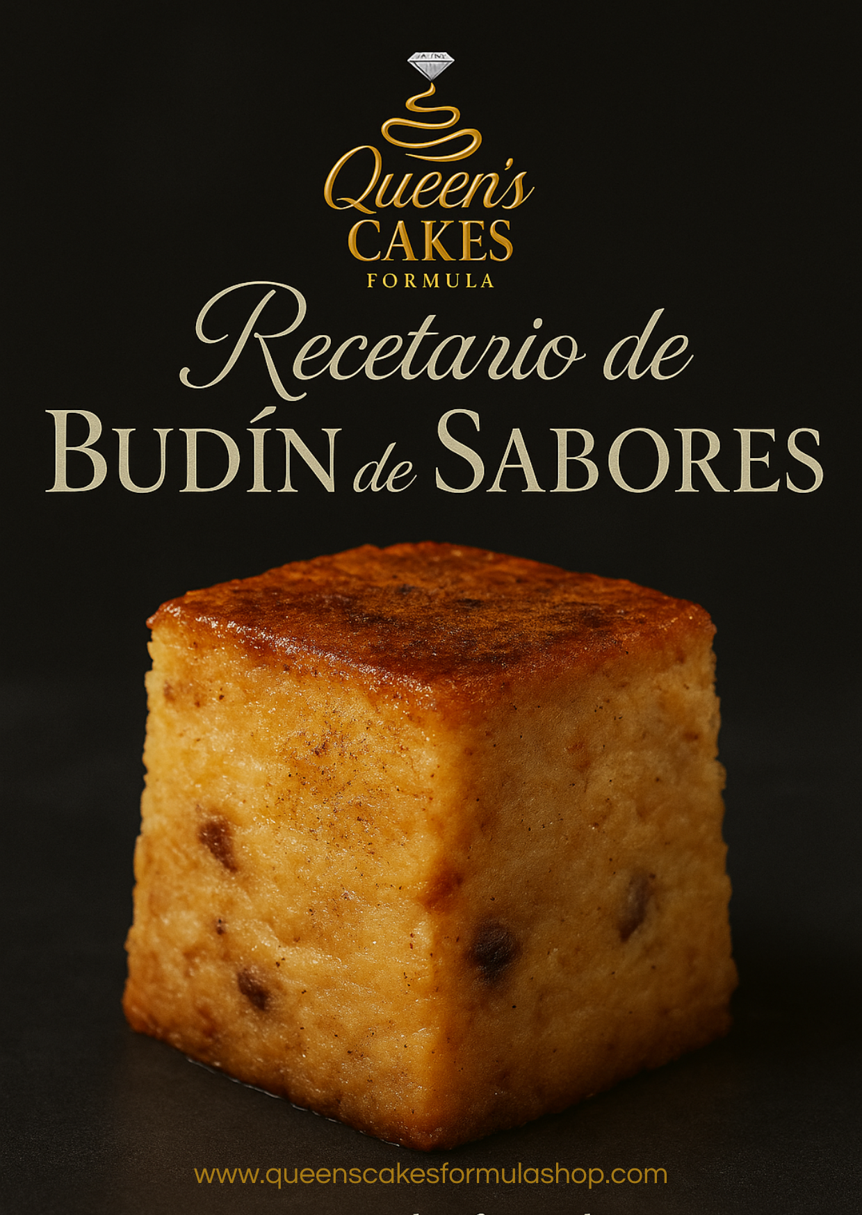 Recetario de Budín de Sabores (FAVOR LEER LA DESCRIPCIÓN)